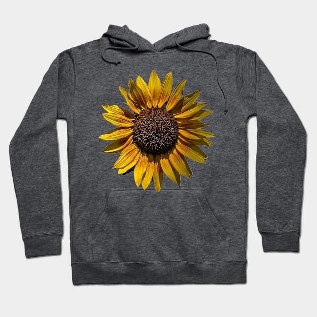 Sun's Flower Hoodie by PhotosbyHealy